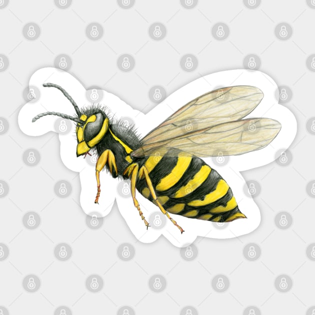 Large wasp Sticker by Bwiselizzy